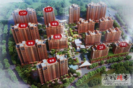 【金润家园】全新房源贺岁钜献 上市热销