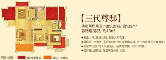 中南世纪城南区首席景观楼座87号楼在售