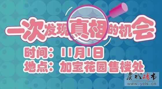11月1日加宝花园 给你一次发现真相的机会