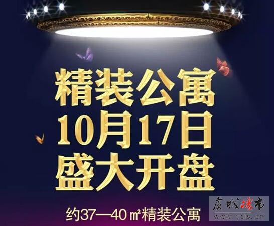 中南锦城12号楼精装公寓10月17日盛大公开