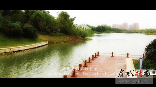 春来看牡丹 招商·太公望邀您看牡丹