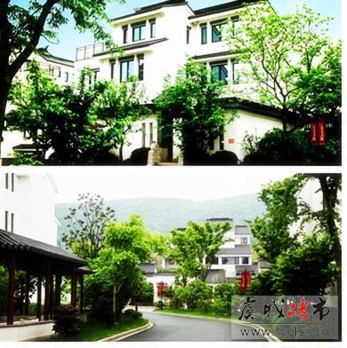 山水桃源 春来看桃花