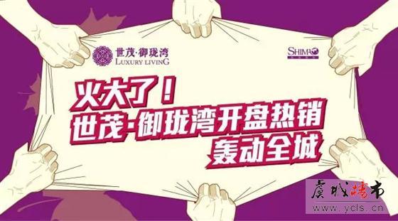 火大了!世茂·御珑湾开盘热销 轰动全城