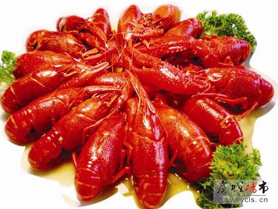 衡泰·里宫:大夏天,龙虾和音乐更配噢!