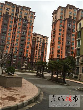 薇尼诗好房出售 价格便宜 南北通透 楼层好