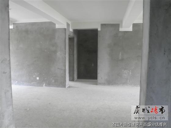 百盛花园 3室2厅2卫 毛坯 125平 送车库 125万