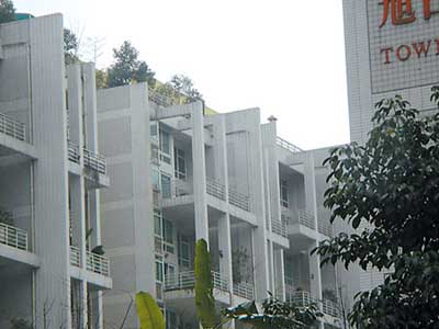 九大女星豪宅曝光 章子怡徐静蕾被评财商高(图)